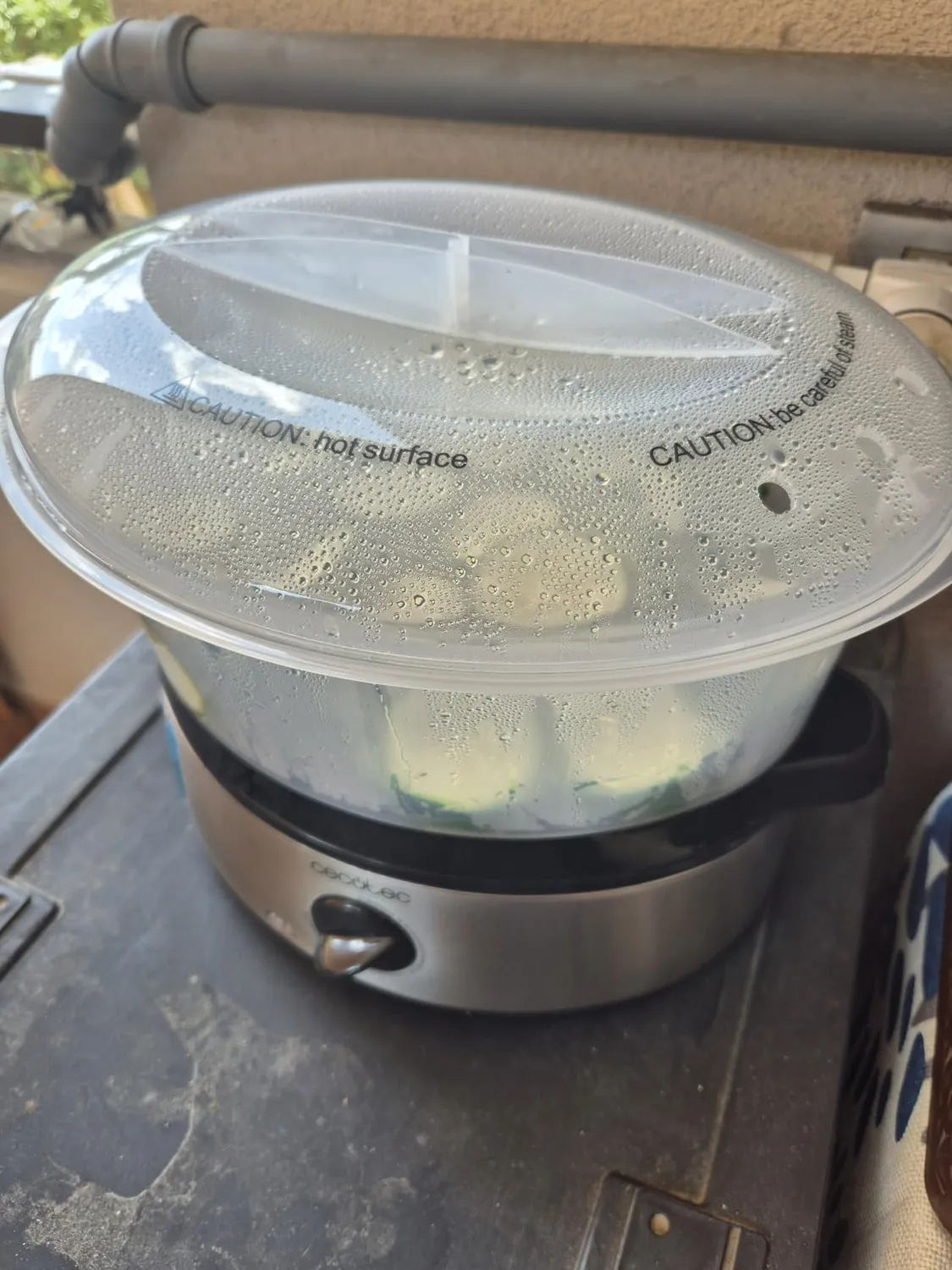 Cecotec Vapovita 3000 Inox cuiseur vapeur 9 L inox