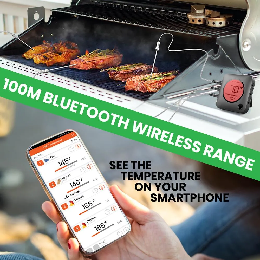 Nutrichef thermomètre barbecue bluetooth 2 sondes