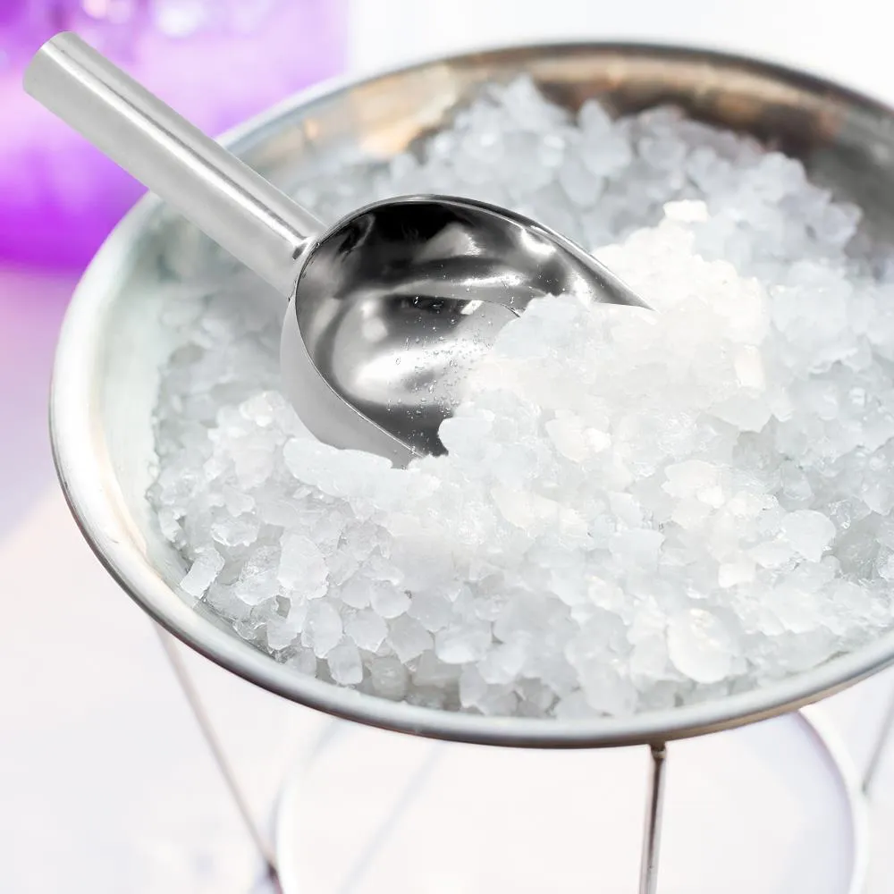 Nutrichef Pelle à Glace Inox 12 oz Lave-vaisselle