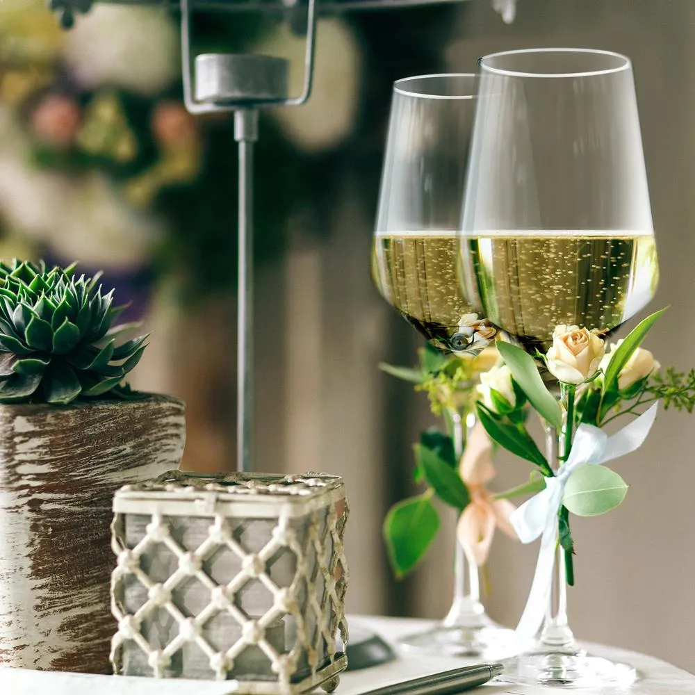 Nutrichef verres à vin cristal 20 cl lot de 2