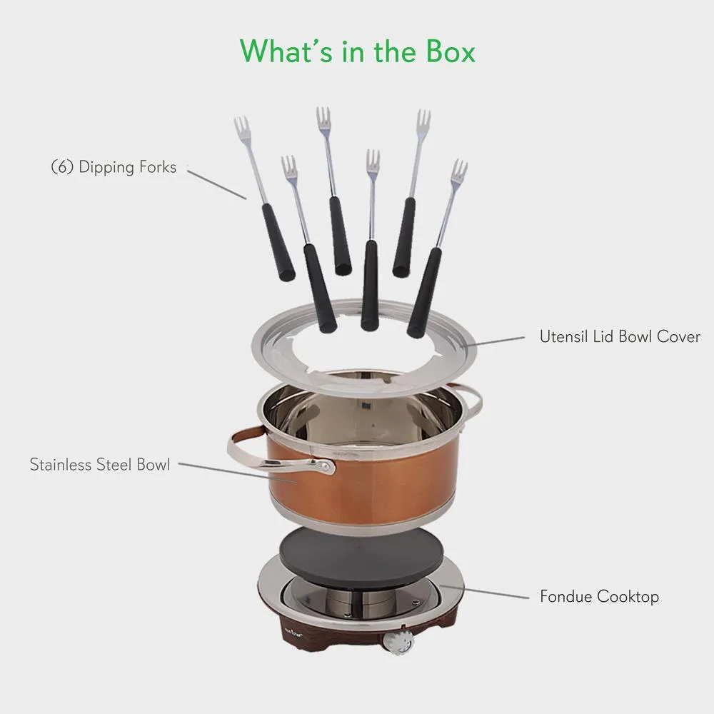 Nutrichef appareil à fondue électrique inox 1000W