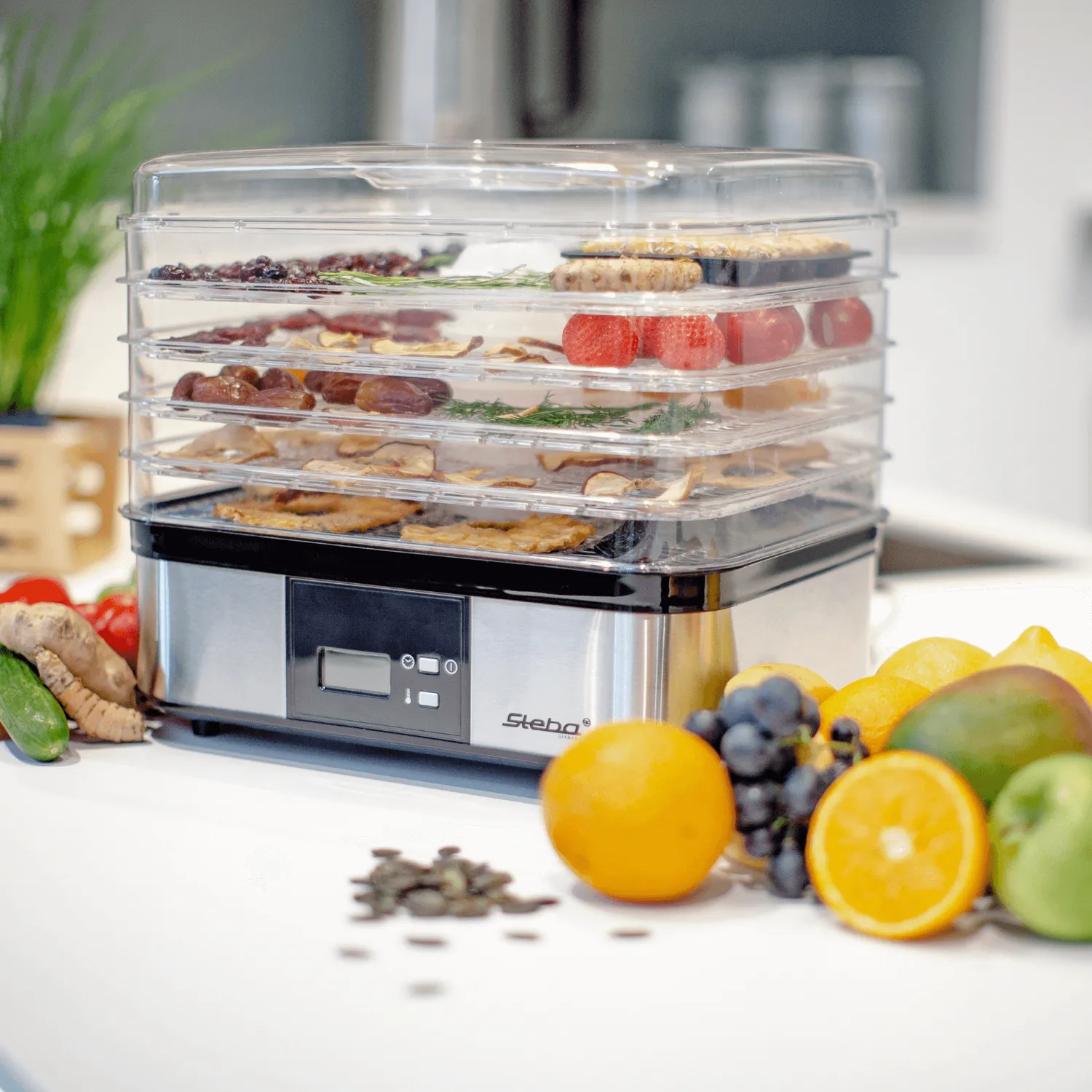 Steba ED 5 déshydrateur alimentaire 5 plateaux