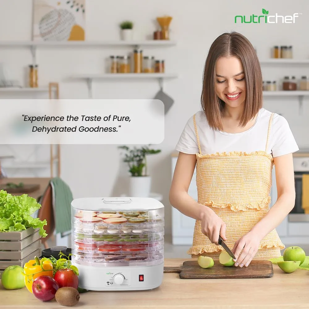 Nutrichef déshydrateur alimentaire électrique compact