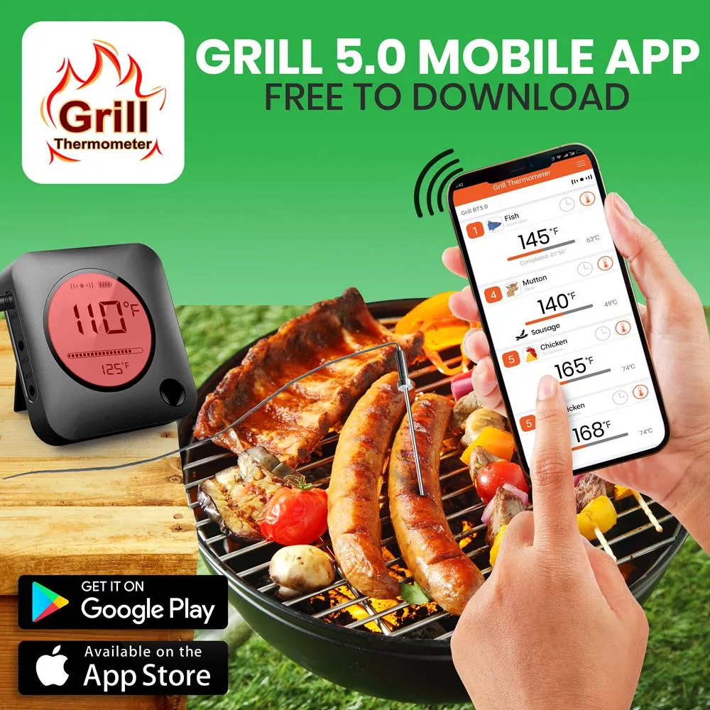 Nutrichef thermomètre barbecue bluetooth 2 sondes