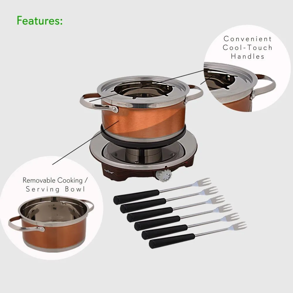 Nutrichef appareil à fondue électrique inox 1000W