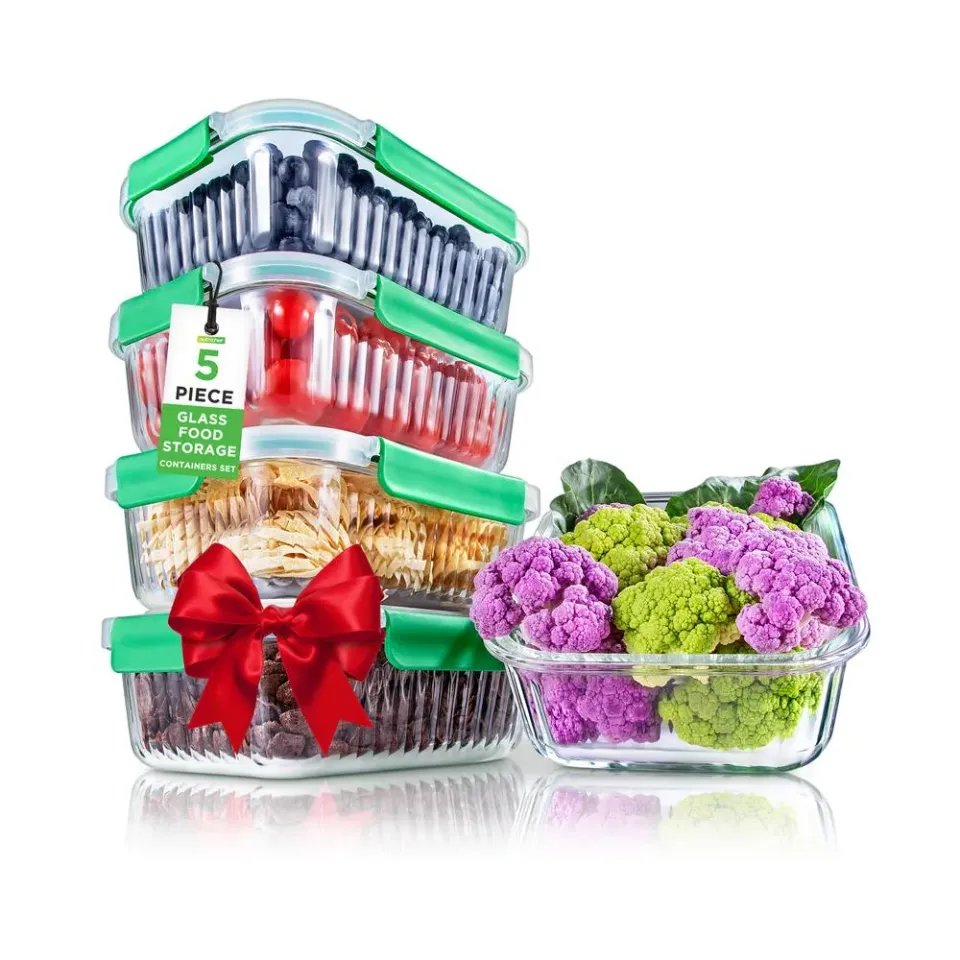 Nutrichef Boîtes verre 5x1060ml hermétiques four congélateur
