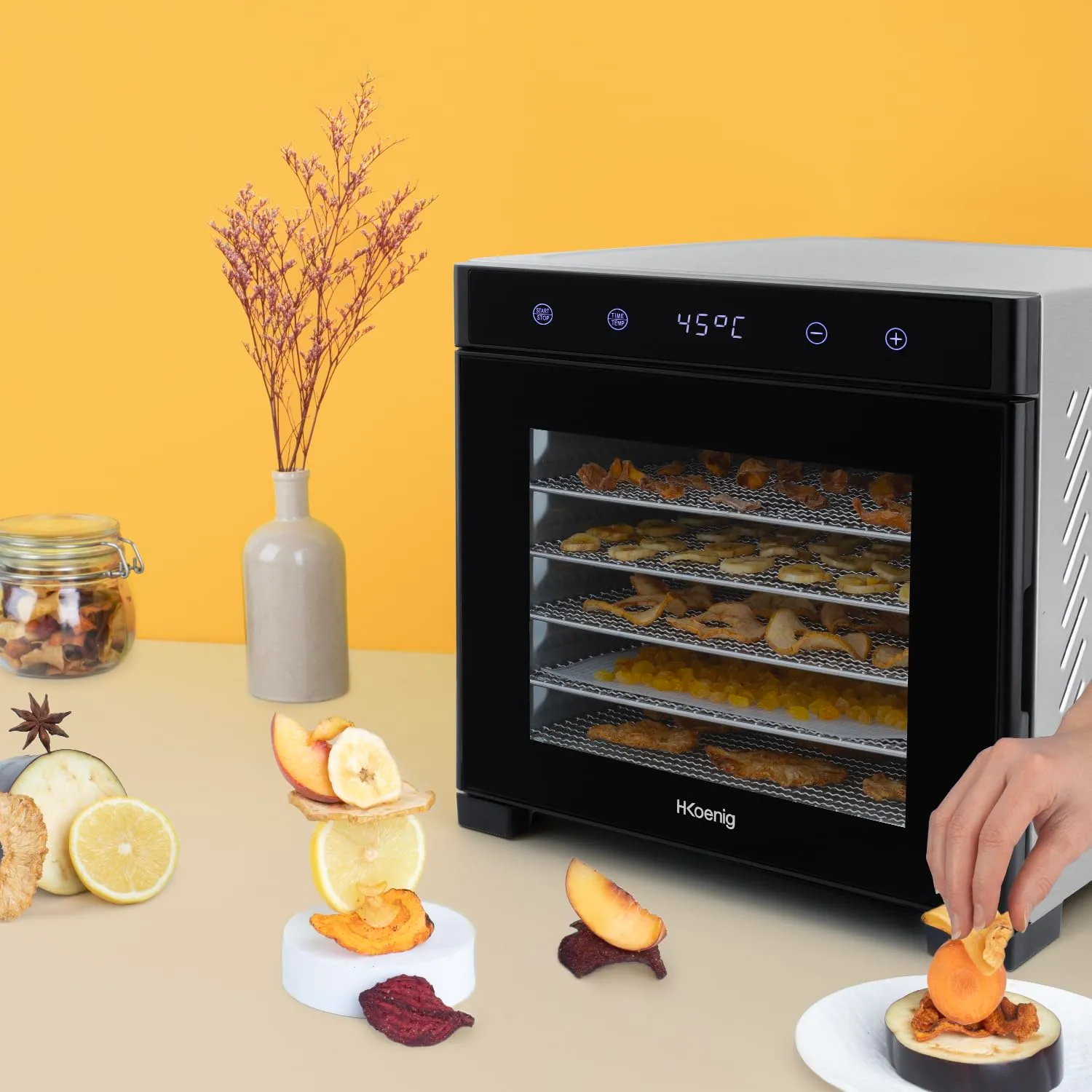 H.Koenig DSY900 déshydrateur 6 plateaux 650 W tactile