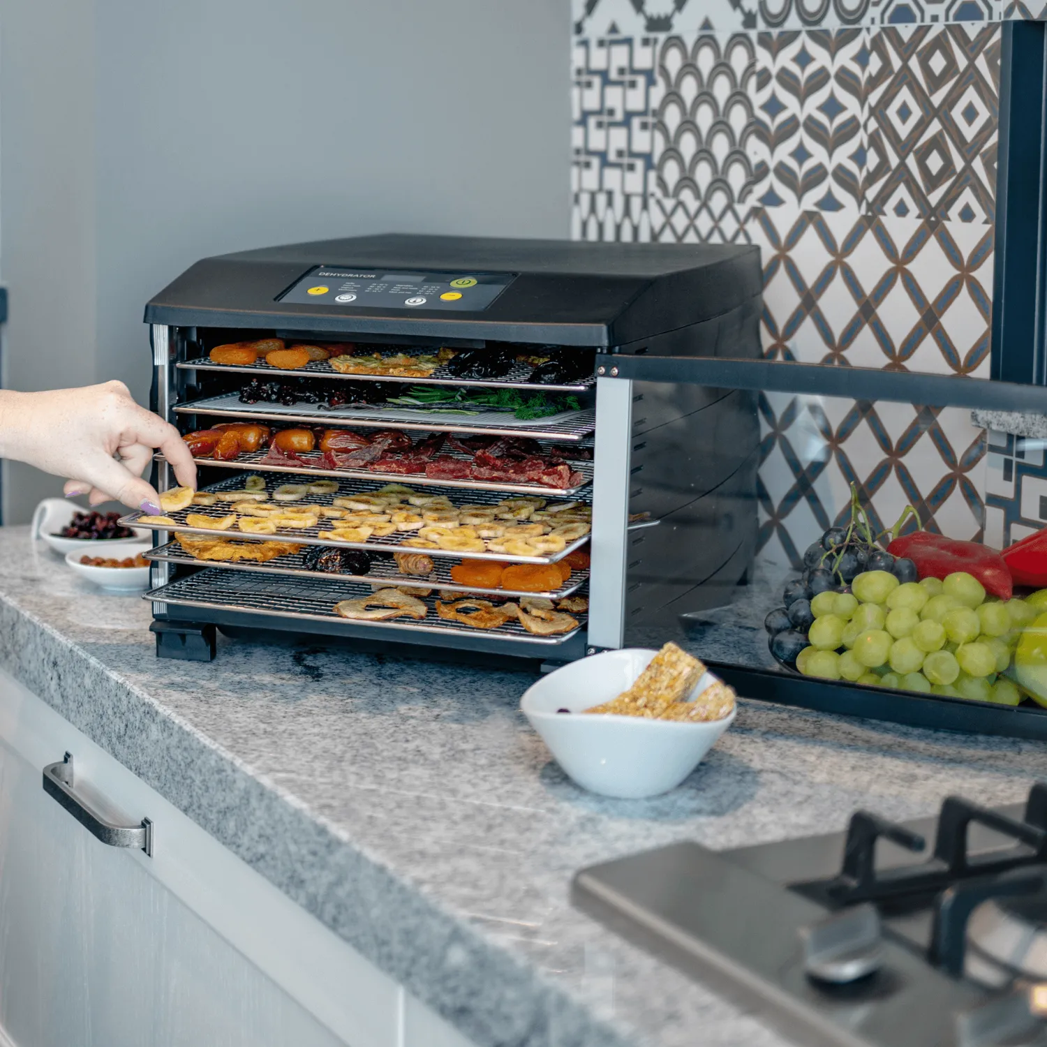 Steba ED 6 déshydrateur alimentaire inox 6 plateaux