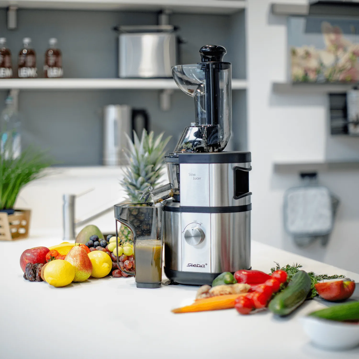 Steba E 400 extracteur de jus slow juicer inox