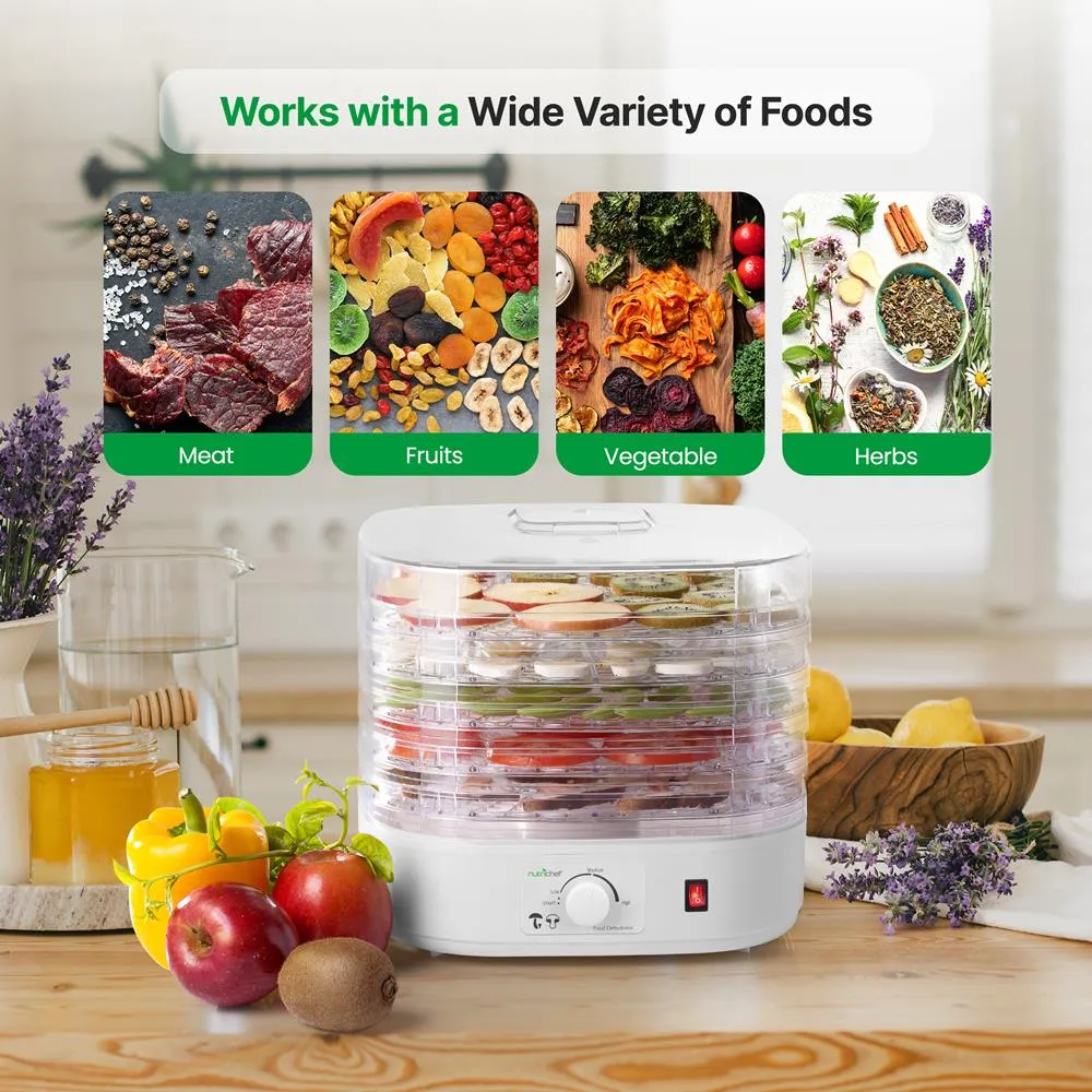 Nutrichef déshydrateur alimentaire électrique compact