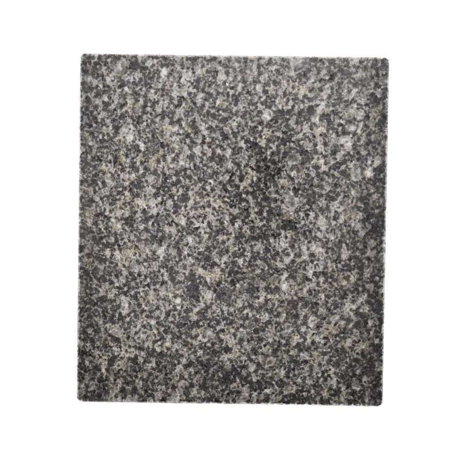 Steba RC 88 pierre grillade rechange 18,5 x 21 cm